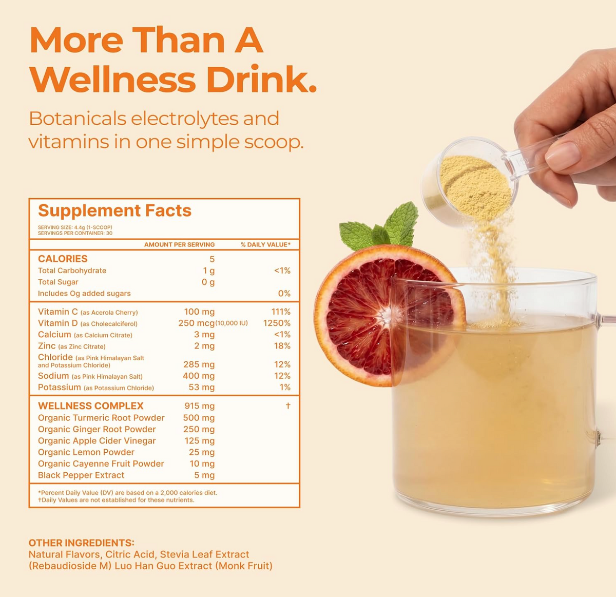Flovaa Ginger & Turmeric Wellness Drink Mix